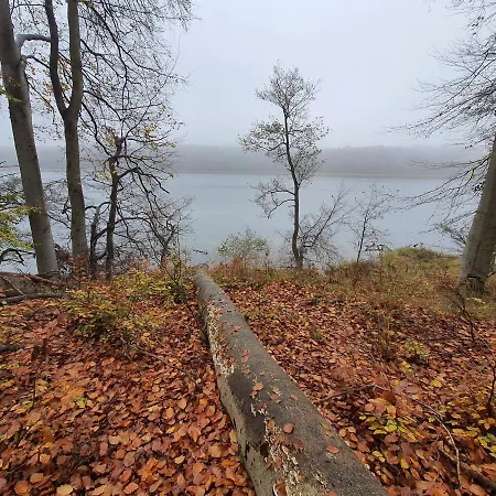 Bukowa Ostoja 公寓 *