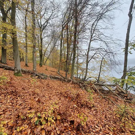 Διαμέρισμα Bukowa Ostoja *