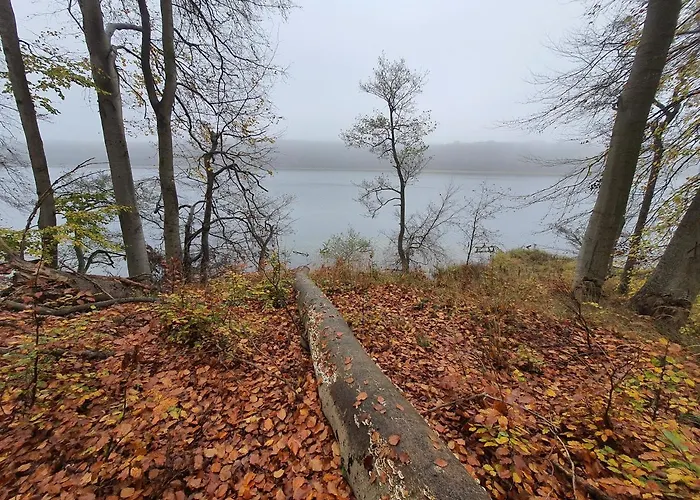 Bukowa Ostoja Apartman *