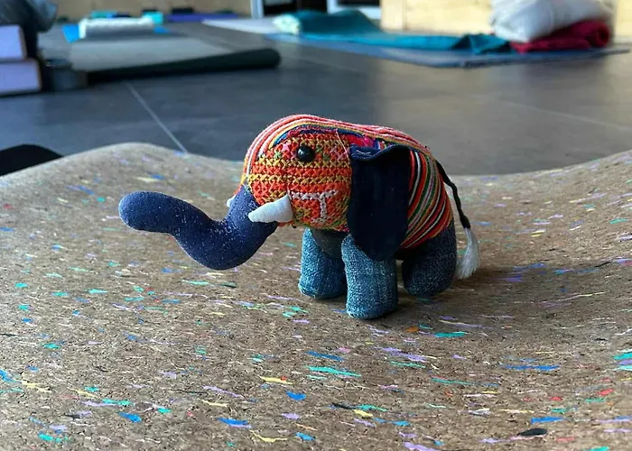 Bukowa Ostoja Nakielno